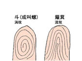 手指上的斗和簸箕代表什么？