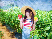 2018狗年，命犯太岁的四个生肖！
